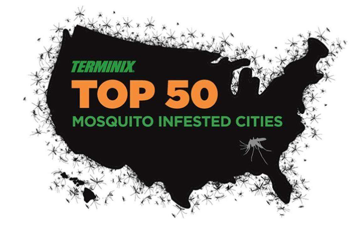 Terminex released its list of the most mosquito infected cities. Miami ranked No. 11.