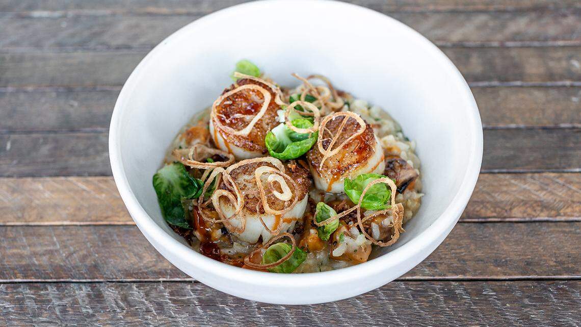 Diver Scallops are one of the specialties at North Italia, coming soon to Kendall.