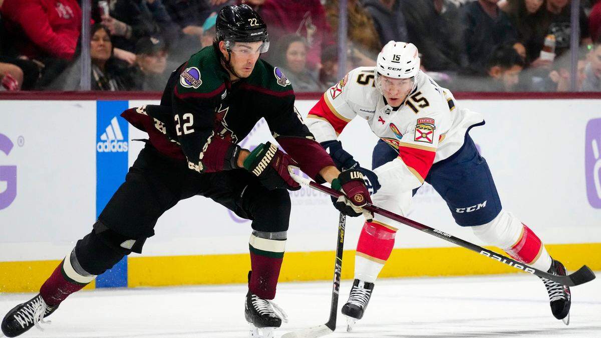 Arizona Coyotes center Jack McBain (22) battles with Florida Panthers center Anton Lundell (15) for the puck during the first period of an NHL hockey game in Tempe, Ariz., Tuesday, Nov. 1, 2022.