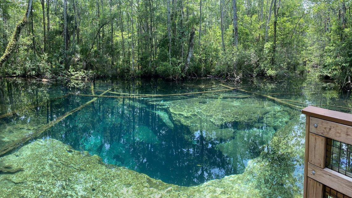 Bodies of two divers were found at a submerged Florida cave after teens alerted authorities to a man floating face down in the water, the Hernando County Sheriff’s Office says.