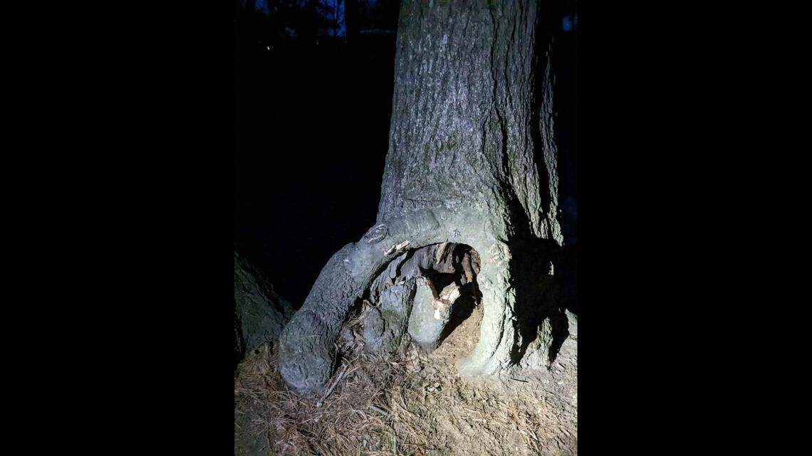 The dog was rescued without being harmed, the fire department said.