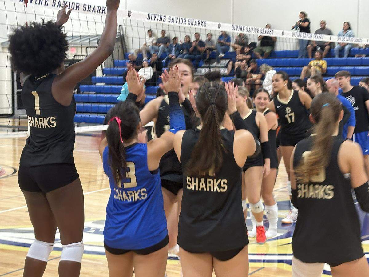 Divine Savior volleyball players congratulate each other after defeating Somerset South Homestead in a Region 4-2A quarterfinal playoff on Tuesday at Divine Savior Academy in Doral, Fla.