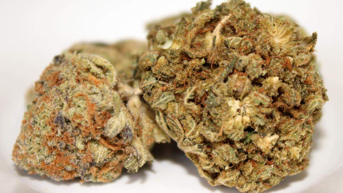 Trulieve se convirtió en el primer dispensario del estado en vender flor de cannabis después que el gobernador Ron DeSantis firmó en un proyecto de ley que revoca la prohibición de la marihuana medicinal fumable.