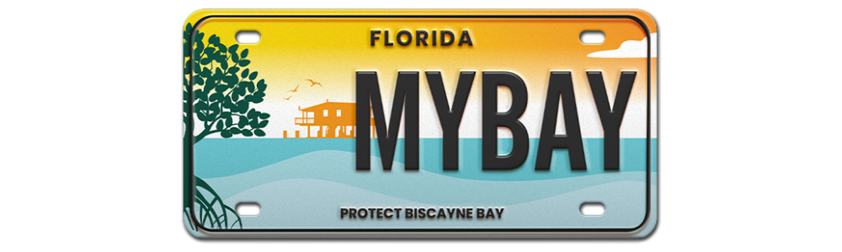 Miami-Dade County partnered with The Miami Foundation to create a “Protect Biscayne Bay” specialty license plate. Florida residents voted for the Stiltsville design out of three motifs.
