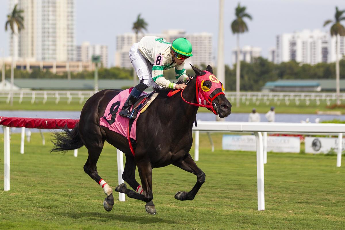 Irad Ortiz Jr. (8) reaches the finish line during a horse race at Gulfstream Park in Hallandale Beach, Florida, on Wednesday, Jan. 9, 2019. Ortiz and his brother Jose are regarded as two of the best jockeys in the nation.