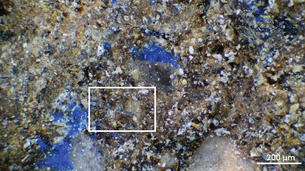 Microscopic analysis of an ancient stone found blue pigment, the oldest ever found in Europe.