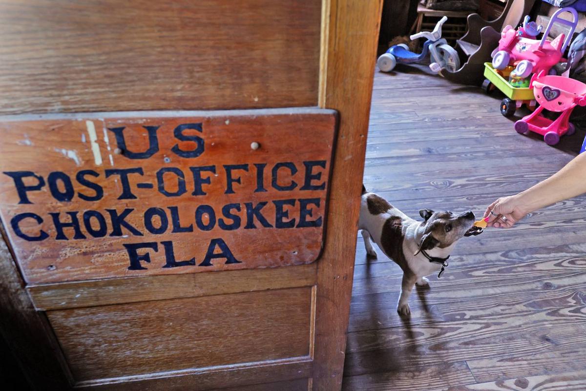 Beth Mulrine feeds Sam the dog a treat at the Smallwood Store in Chokoloskee on Friday.