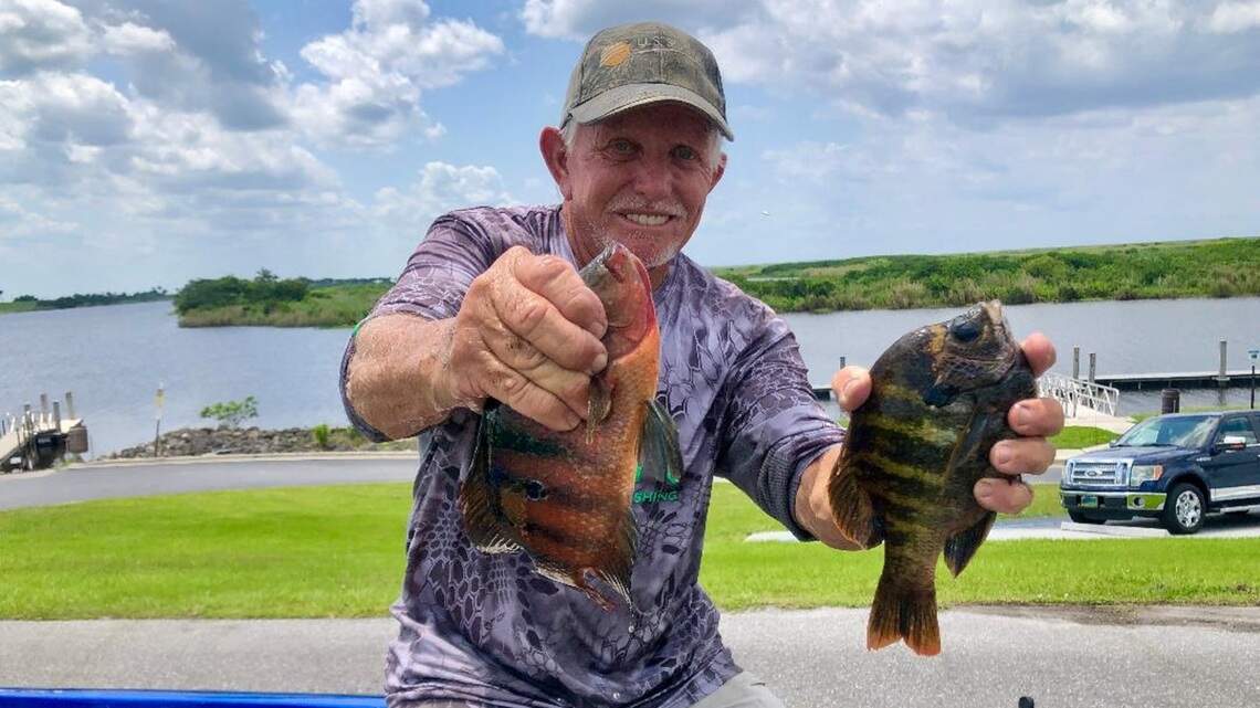 It’s a good time to fill up your livewells with bluegills from Lake Okeechobee