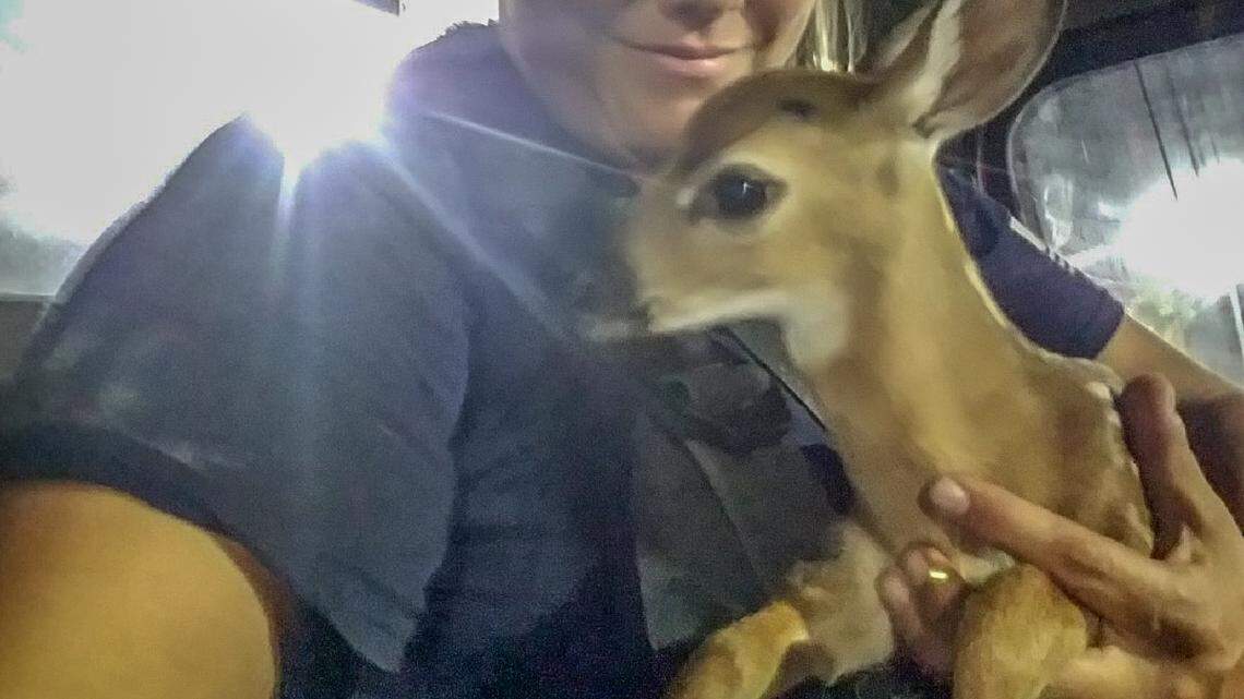 Monroe County Fire Rescue firefighter Jen Shockley saved this fawn from the Big Pine Key brush fire on Sunday, April 22, 2018.