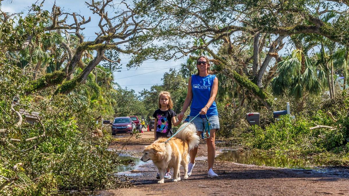 Olivia Chasse with her daughter Charlotte, walk their golden retriever Ben down Dahlia Lane in Vero Beach Saturday, Oc.t 12, 2024. Ben is a retired therapy dog, and the Chasses took him out walk to help cheer people up after tornadoes from Hurricane Milton damaged many Vero Beach homes earlier in the week.