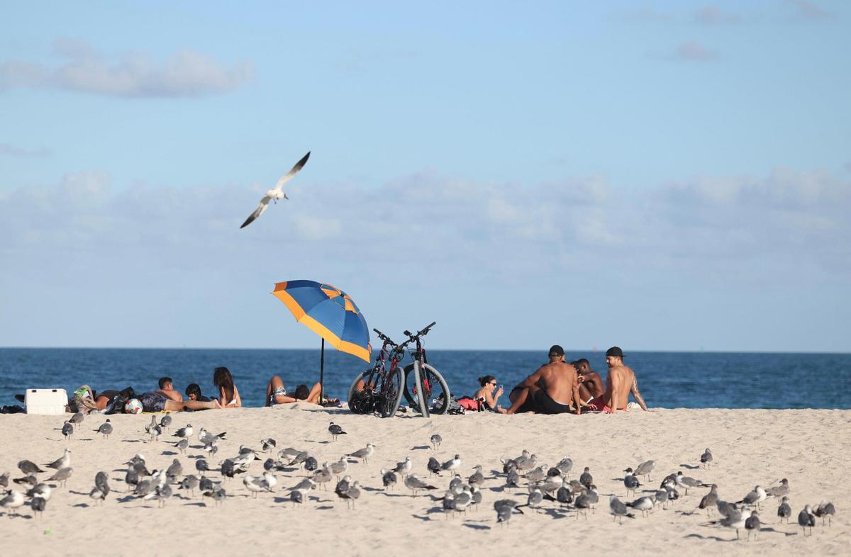 Seagulls surround people in Miami Beach during spring break on Sunday, March 26, 2023.