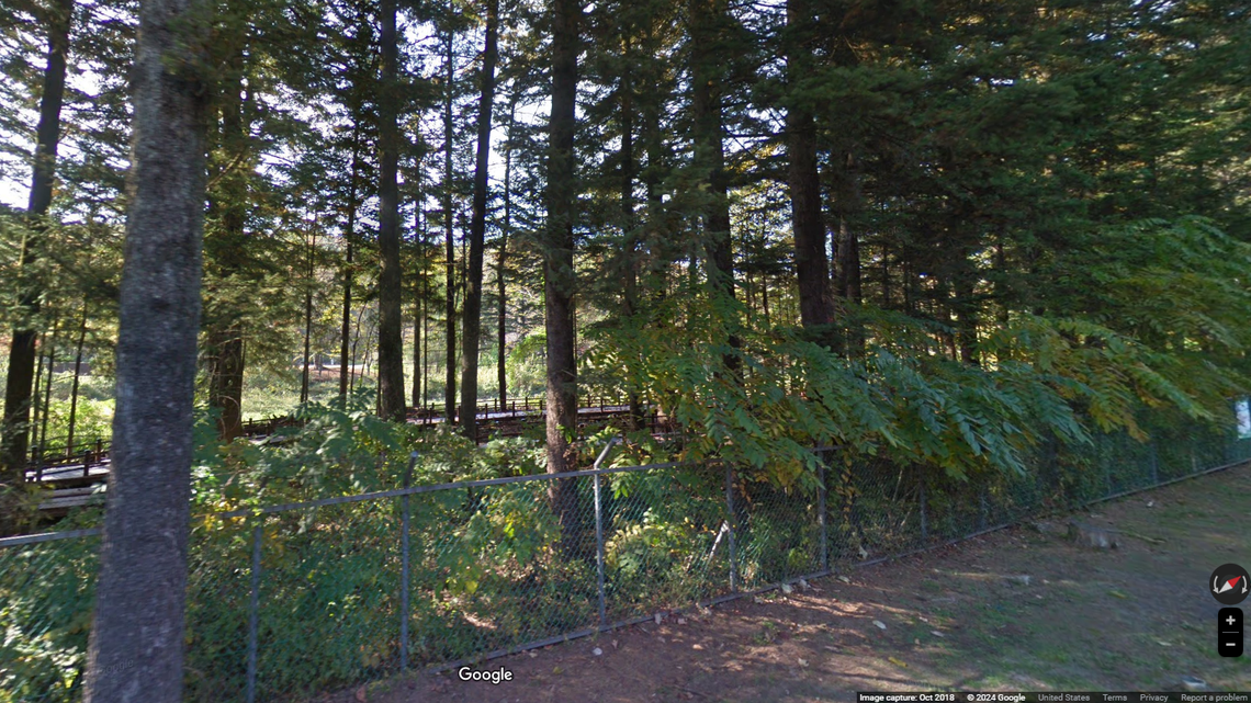 Researchers identified a new species of wasps from South Korea, according to a new study.