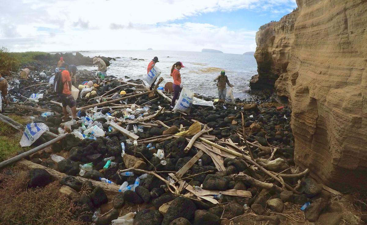People pick up trash on Ecuador's Galapagos Islands. The world famous reserve is at the confluence of three sea currents that drag the world's garbage to its shores.