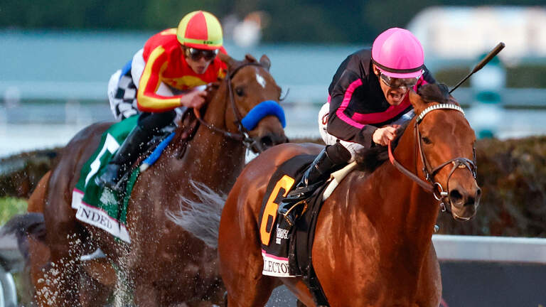 Photo Gallery: Pegasus World Cup Invitational | Saturday, January 28, 2023