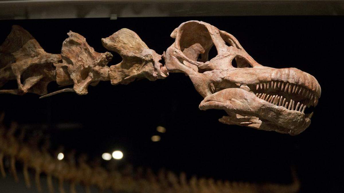 Science writer warns that unless citizens of Earth colonize other planets, they will go the way of the dinosaur.