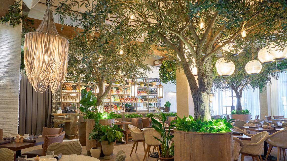 The interior of Aba at Bal Harbour Shops evokes a Mediterranean garden with olive trees, ivy and potted plants.