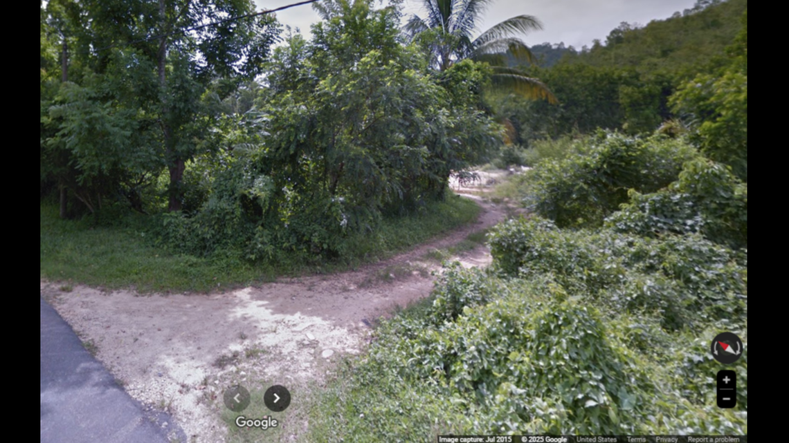 A critically endangered species was spotted on a trail camera in a Malaysia reserve, researchers said.