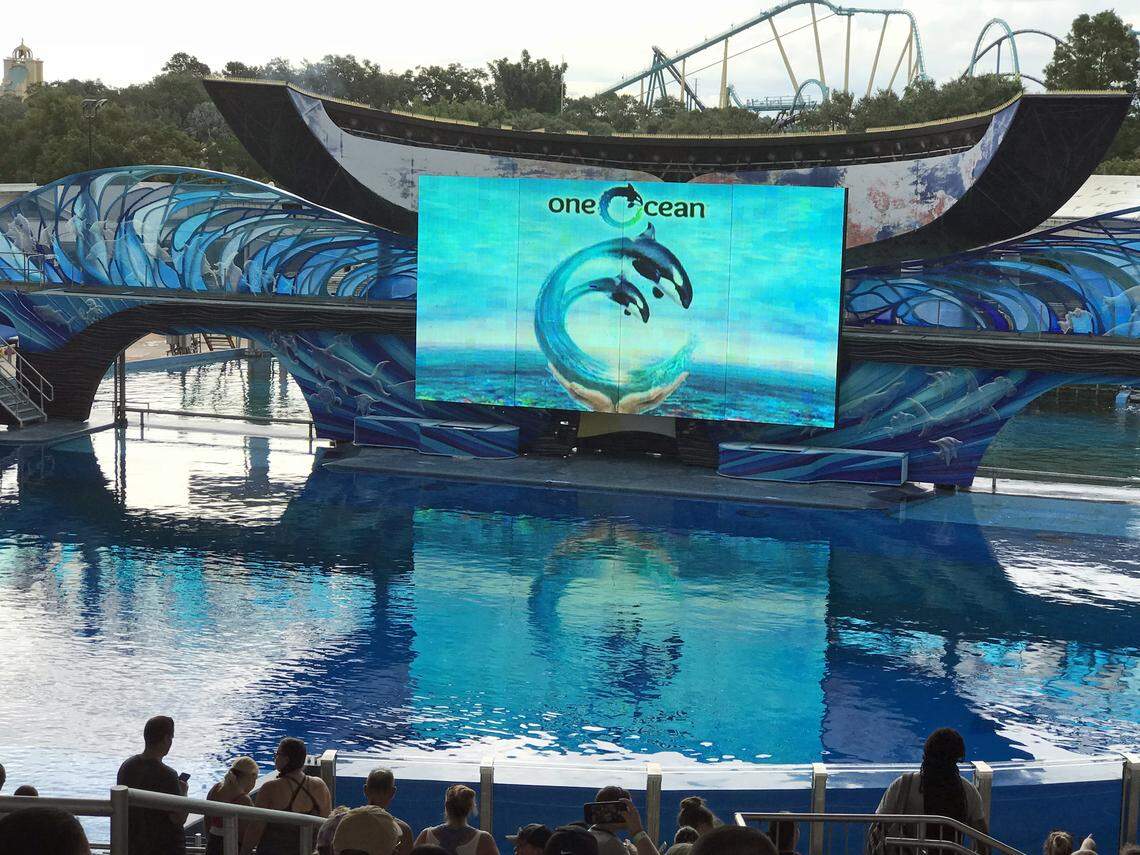 “One Ocean,” the killer whale show at SeaWorld Orlando, will end on December 31.