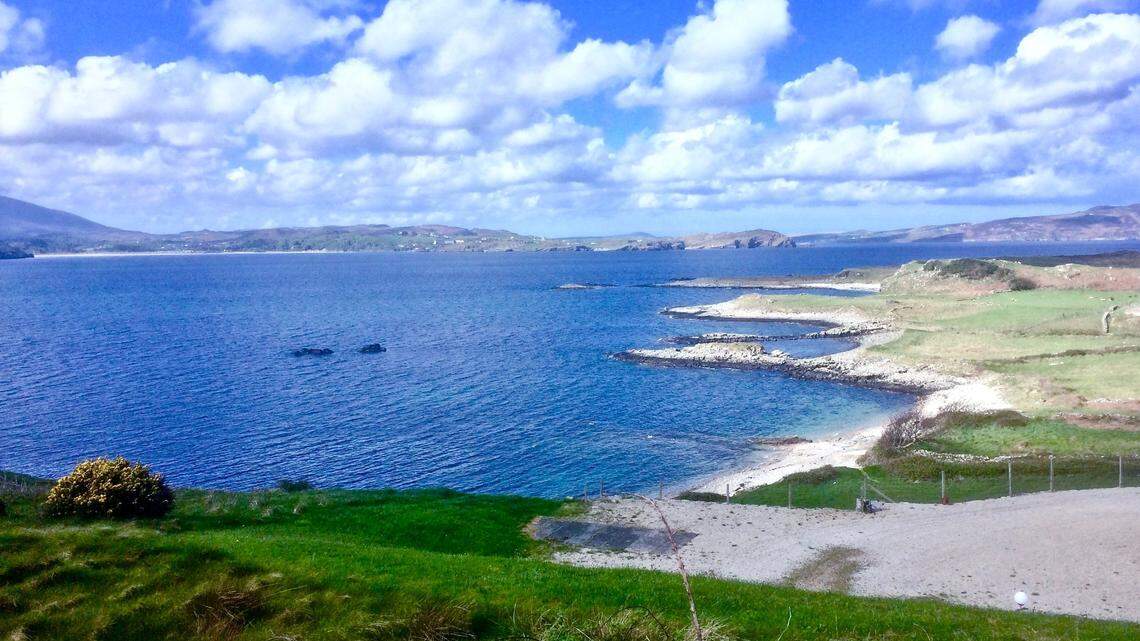 The boaters were in Donegal Bay when they spotted a group of whales, including a fin whale and four humpback whales.