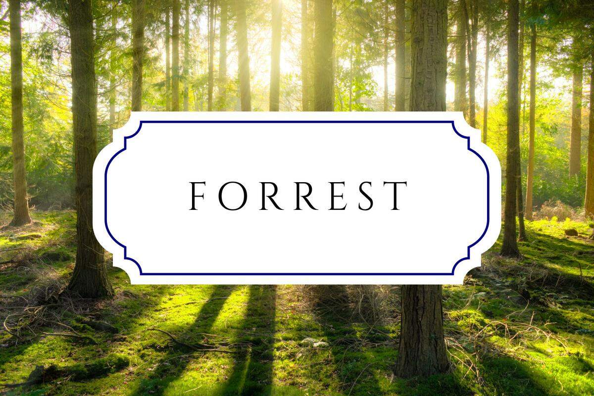 botanical baby names forrest