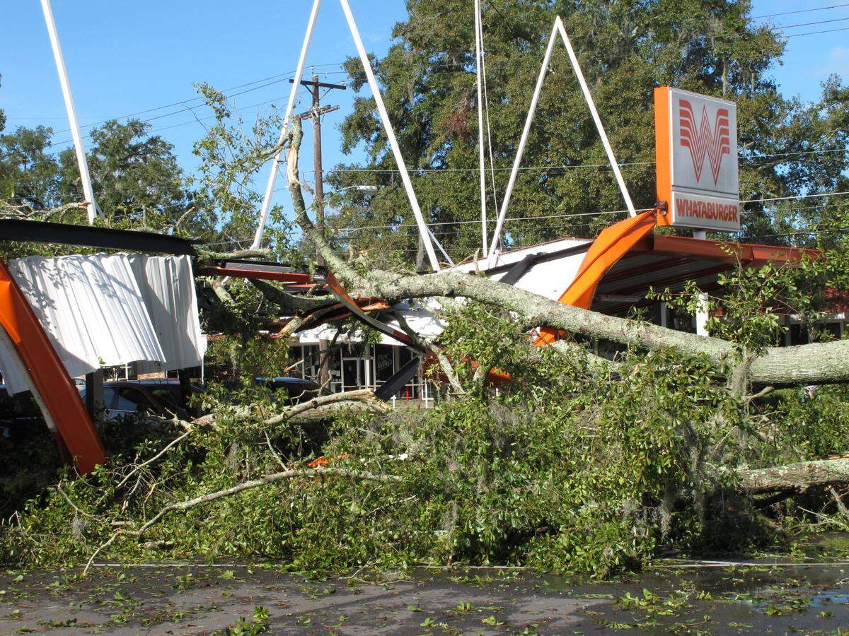 A large oak tree toppled over a Whataburger restaurant in Tallahassee, Florida, on Sept. 2, 2016. Many businesses and homes in Tallahassee were without power and several roads were blocked because of tree damage caused by Hurricane Hermine.
