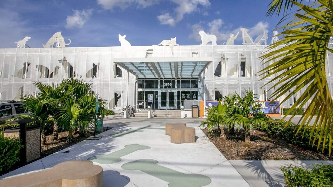 Jay-Z group files complaint against Miami-Dade Animal Services, alleging it ignored abuser