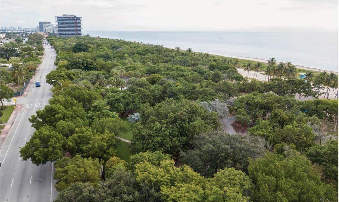 A view of North Beach Oceanside Park looking north. Miami Beach’s biggest park will undergo a redesign after the city’s Design Review Board approved plans for the project February 2, 2021.
