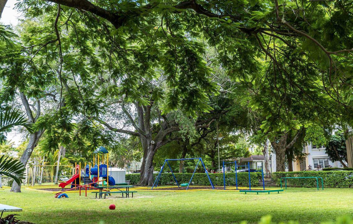 View of centennial trees inside the Crystal Academy children's park, lot that also is the home of the St. James Evangelical Lutheran Church of Coral Gables that was bought by the Century Homebuilders Group in 2021 with plans to removes all trees and buildings to develop a project called Crystal, a 9-story mixed-use building, on Thursday, August 07, 2025.