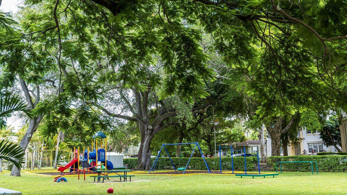 What will happen to this Gables school and its ancient tree? There’s an update