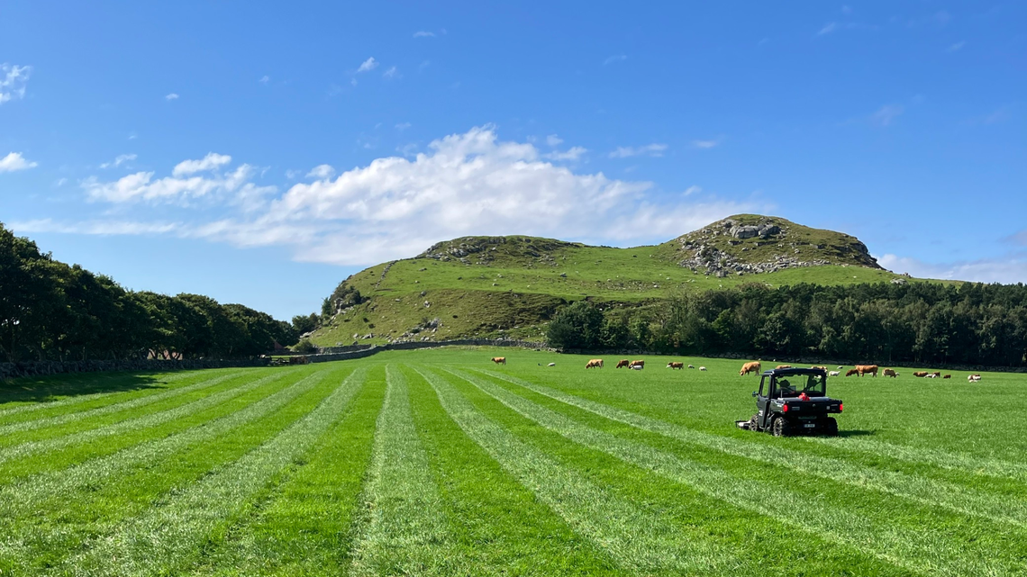 Archaeologists found Viking ruins buried beneath farmland in Norway, according to experts.