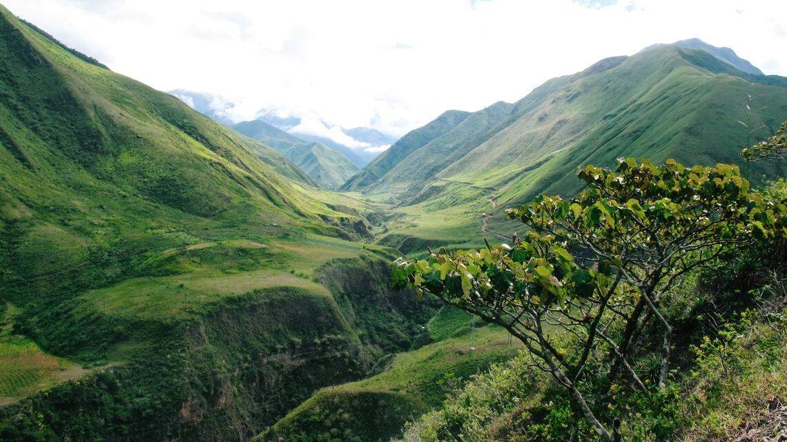 Scientists found several animals in a mountain creek and discovered two new species, the study said. Photo shows a representative area of Ecuador.