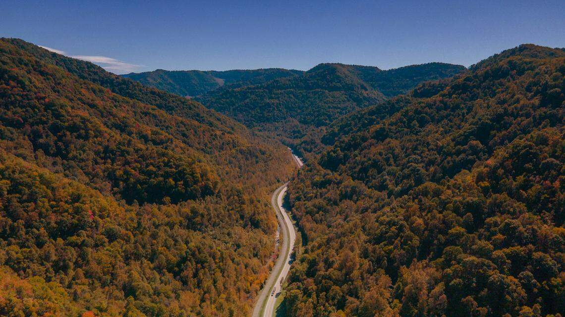 A rare Appalachian creature found in the Southeast needs protection, scientists say.