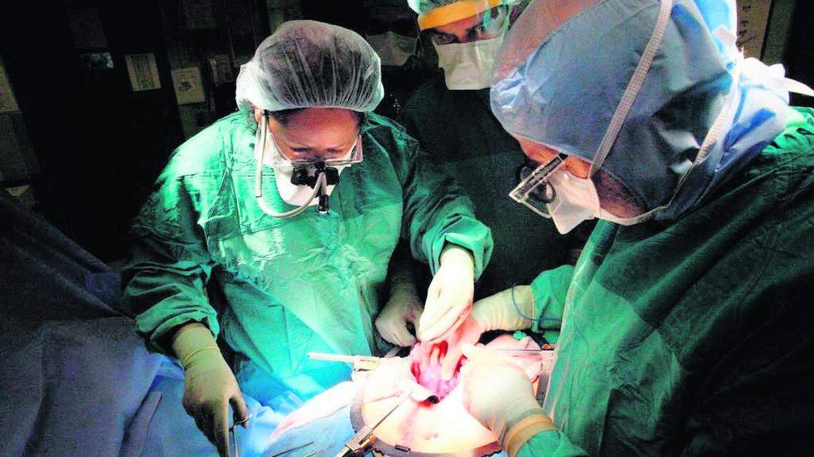 In this July 2008 photograph, University of Miami transplant surgeons prepare to remove a healthy kidney from a patient at the Miami Transplant Institute.