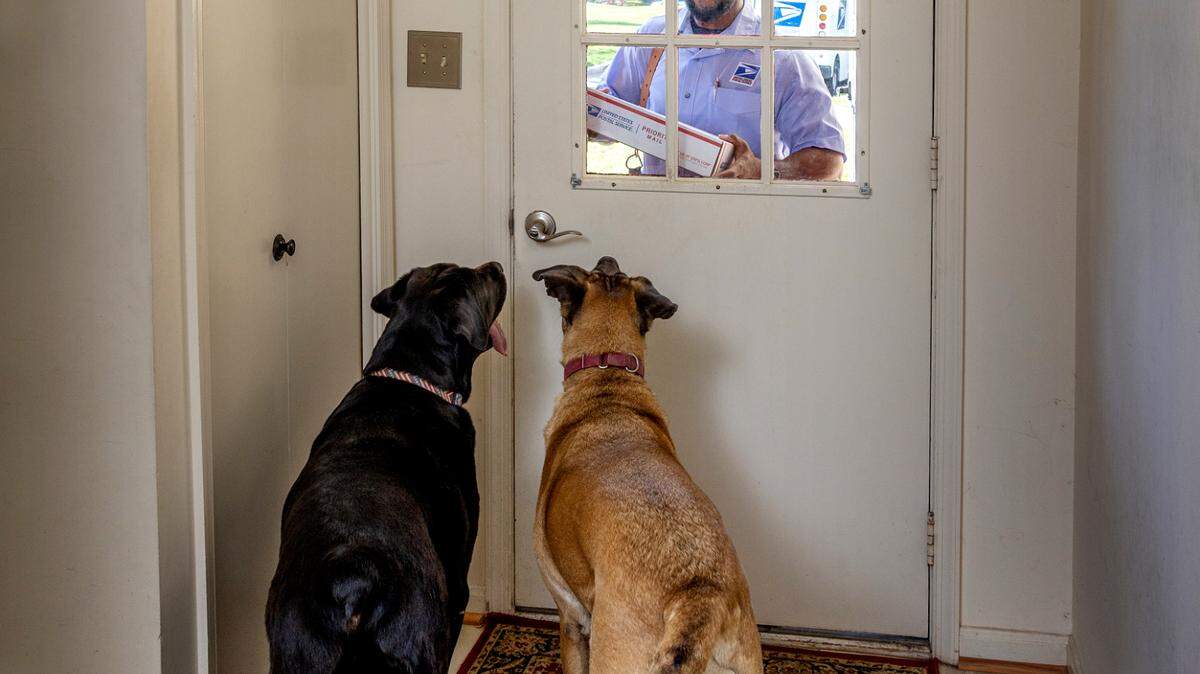 Miami had 21 incidents of dog attacks against mail carriers in 2022.