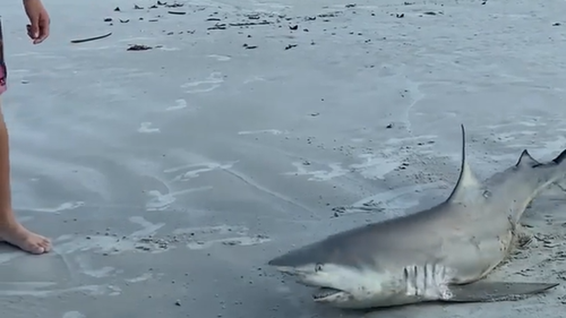 “This is being done on a public beach where there’s a lot of people watching,” the woman filming the video told a news outlet.