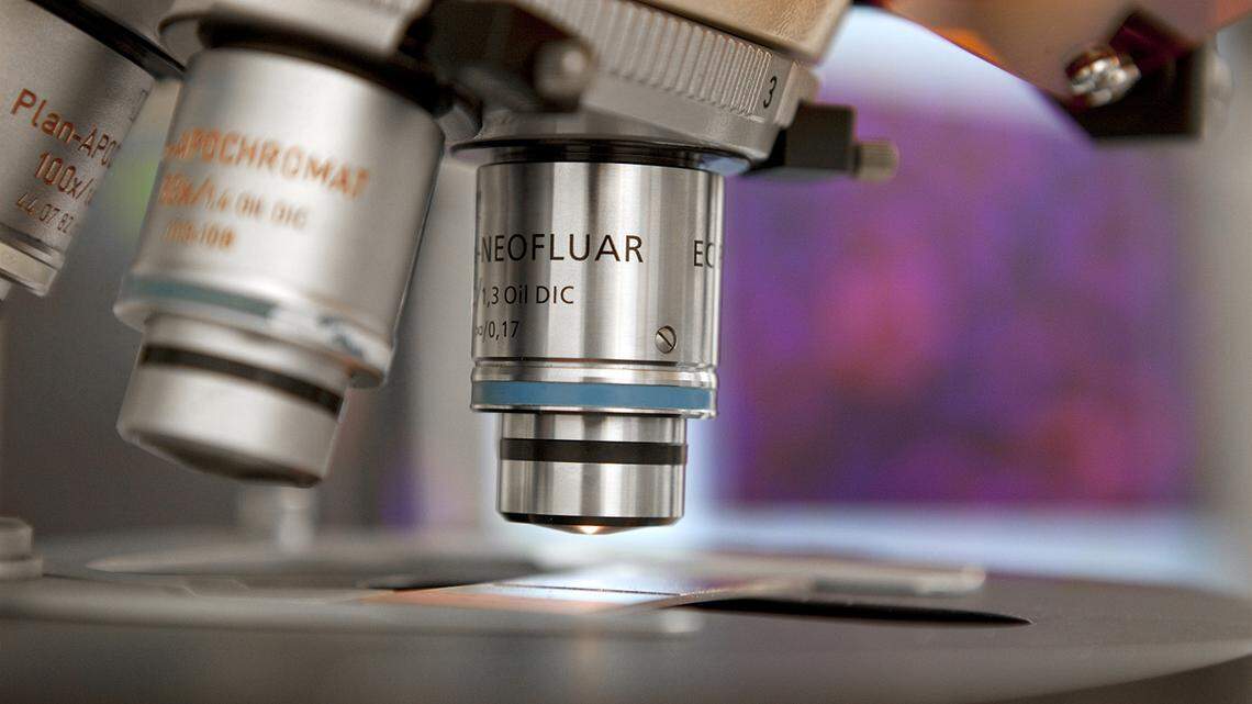 The fungus, Candida auris, is classified as an “emerging infectious disease” after health officials recorded a steady rise in infections beginning in 2019, according to Cleveland Clinic.&nbsp;