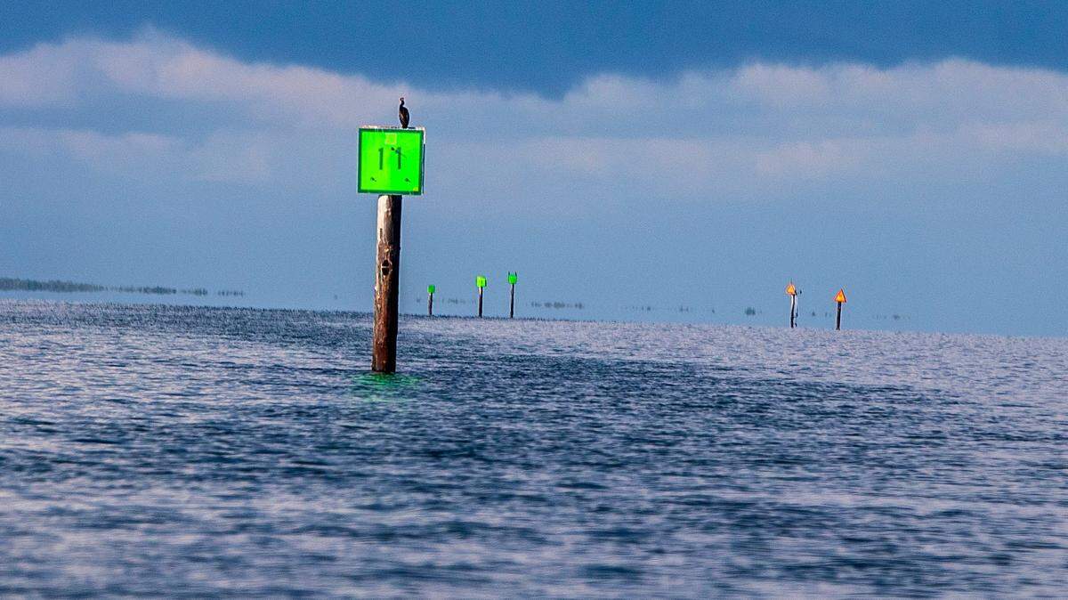 Skipper drank, gave teens alcohol before deadly Biscayne Bay crash, lawsuit alleges