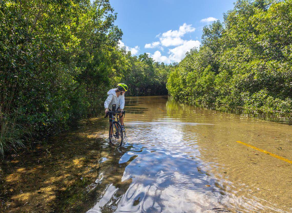 Biker Anar Gudearac was stopped in her tracks by a road entirely flooded with salt water from the king tide at Matheson Hammock Park & Marina. She said she just moved to the U.S. this year, and had never seen anything like it.