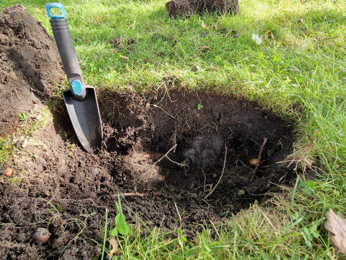The Viking grave was buried in the garden.