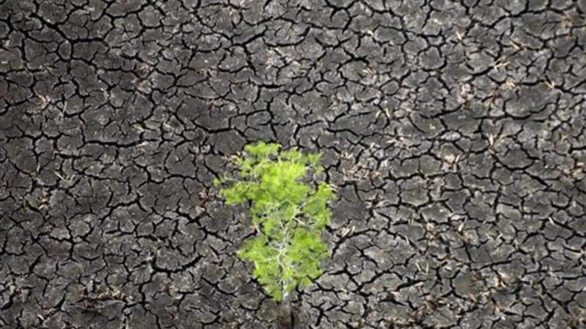 Emiten advertencia de escasez de agua para Miami-Dade y Monroe por la sequía