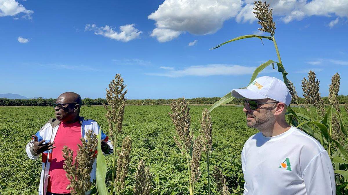 Maxwell Marcelin, a la izquierda, y Geoffrey Handal visitan un campo agrícola en Paulette, Haití, donde cultivan chiles y boniatos para el mercado local y de exportación. Los amigos también han aunado sus recursos y conocimientos para poner en marcha un laboratorio socioeconómico de ayuda a los agricultores al que llaman 'Ayiti Demen', el Haití del Mañana.