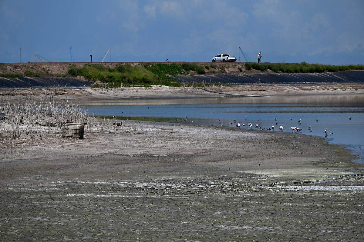 Site operators say they are making “amazing progress” at Piney Point, where the first pond is set to finally be closed by the end of July. More than 63 million gallons of contaminated water have also been drained into an underground injection control well. The Old Gypsum Stack North.