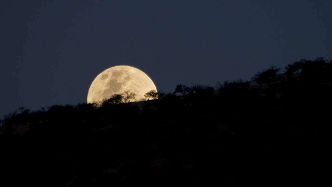 What Is Your Chronotype? How Your Sleep Type Shapes Your Energy, Focus and Daily Routine