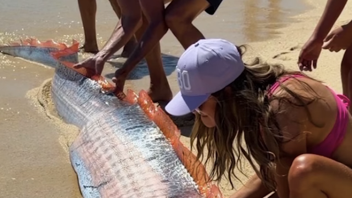 Instagram/Monica Pittenger