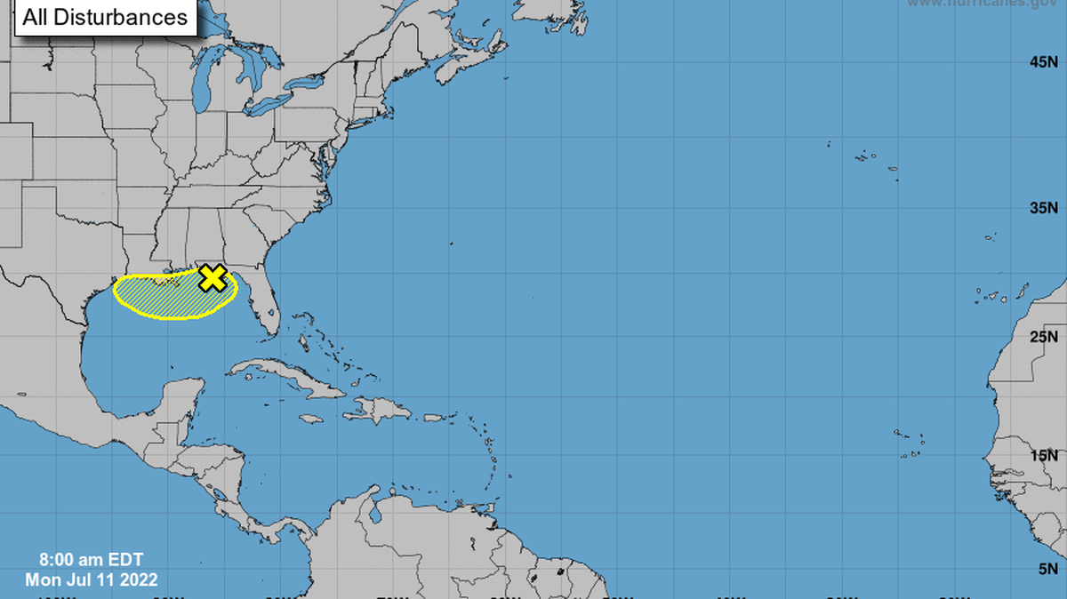 Florida’s Panhandle could get soaked this weekend, regardless of whether a potential disturbance strengthens into a tropical storm or not.
