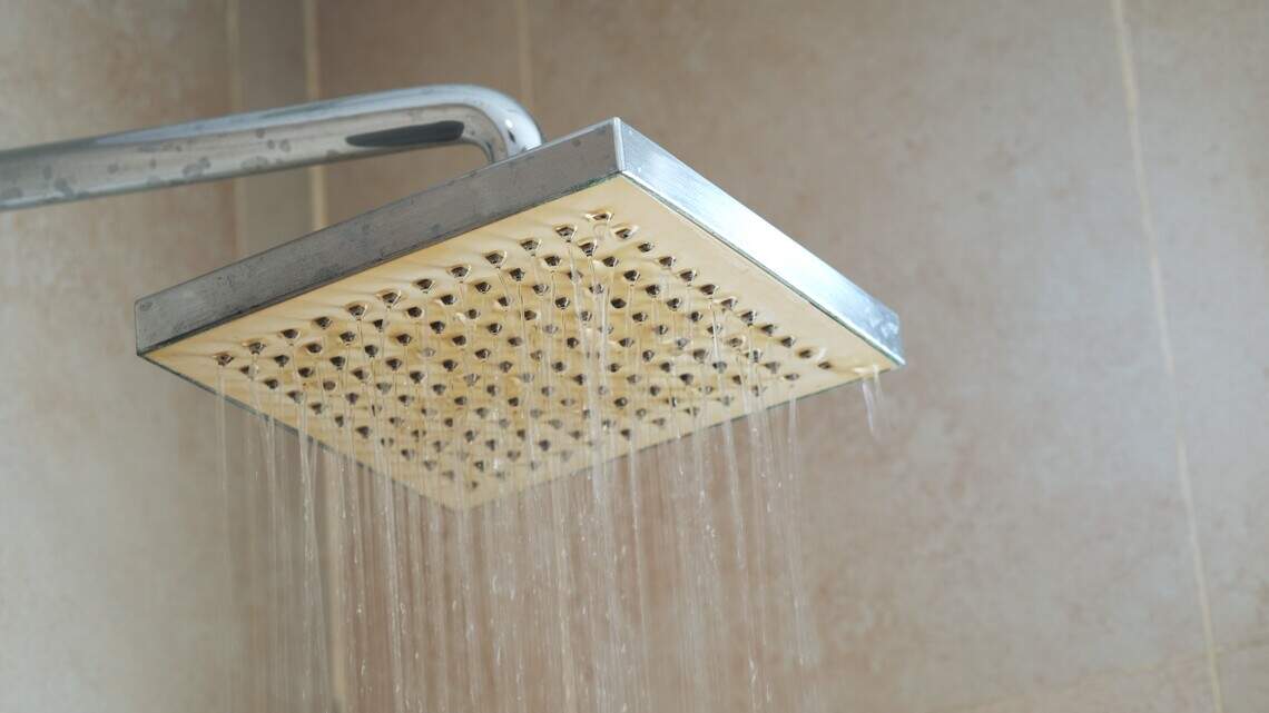 Will a filtered shower head fix your hard water problems? What the testing and research actually show