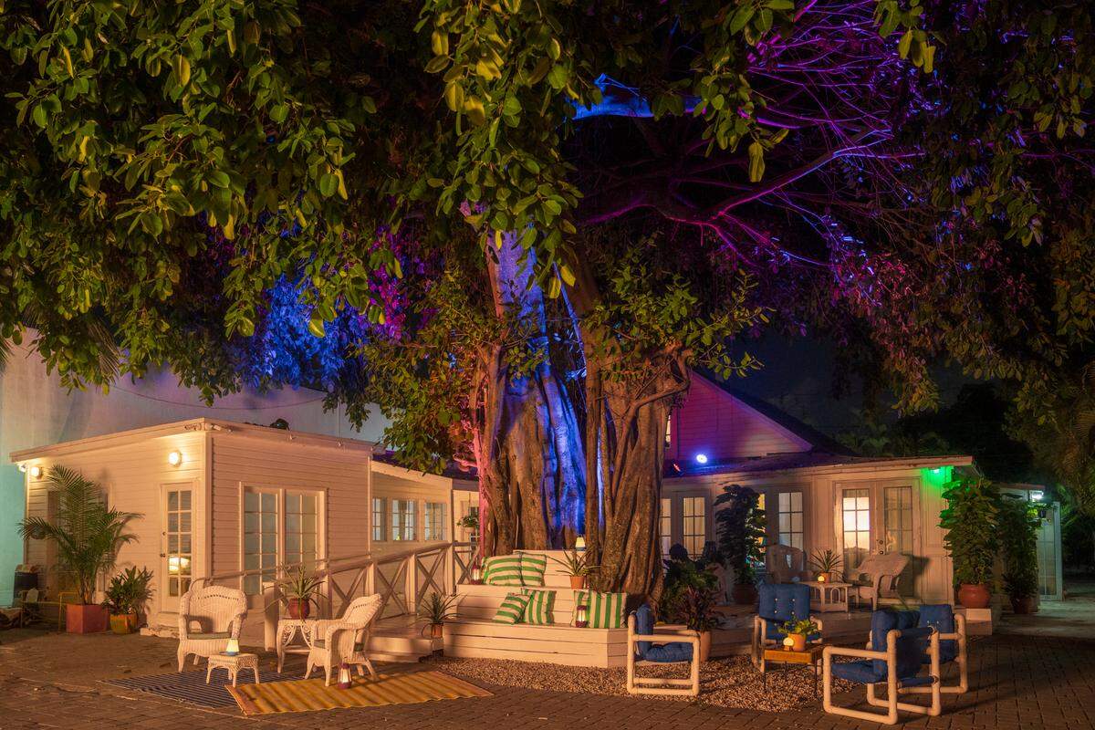 The banyan tree that acts as the centerpiece at ZeyZey in Little River.