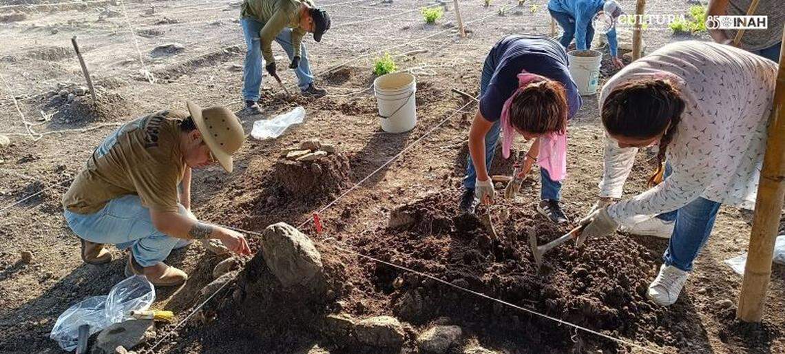 University students joined the excavation project and helped to record the findings.