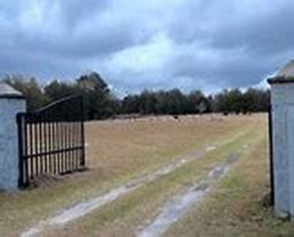 Utility companies wanted to put a 630-acre solar farm adjacent to the Saint Peter/Pinesville Cemetery, a community cemetery in one of the oldest historically Black communities in North Florida. The community resisted and blocked it, but a bill pending before the governor would prevent other communities from doing the same thing.