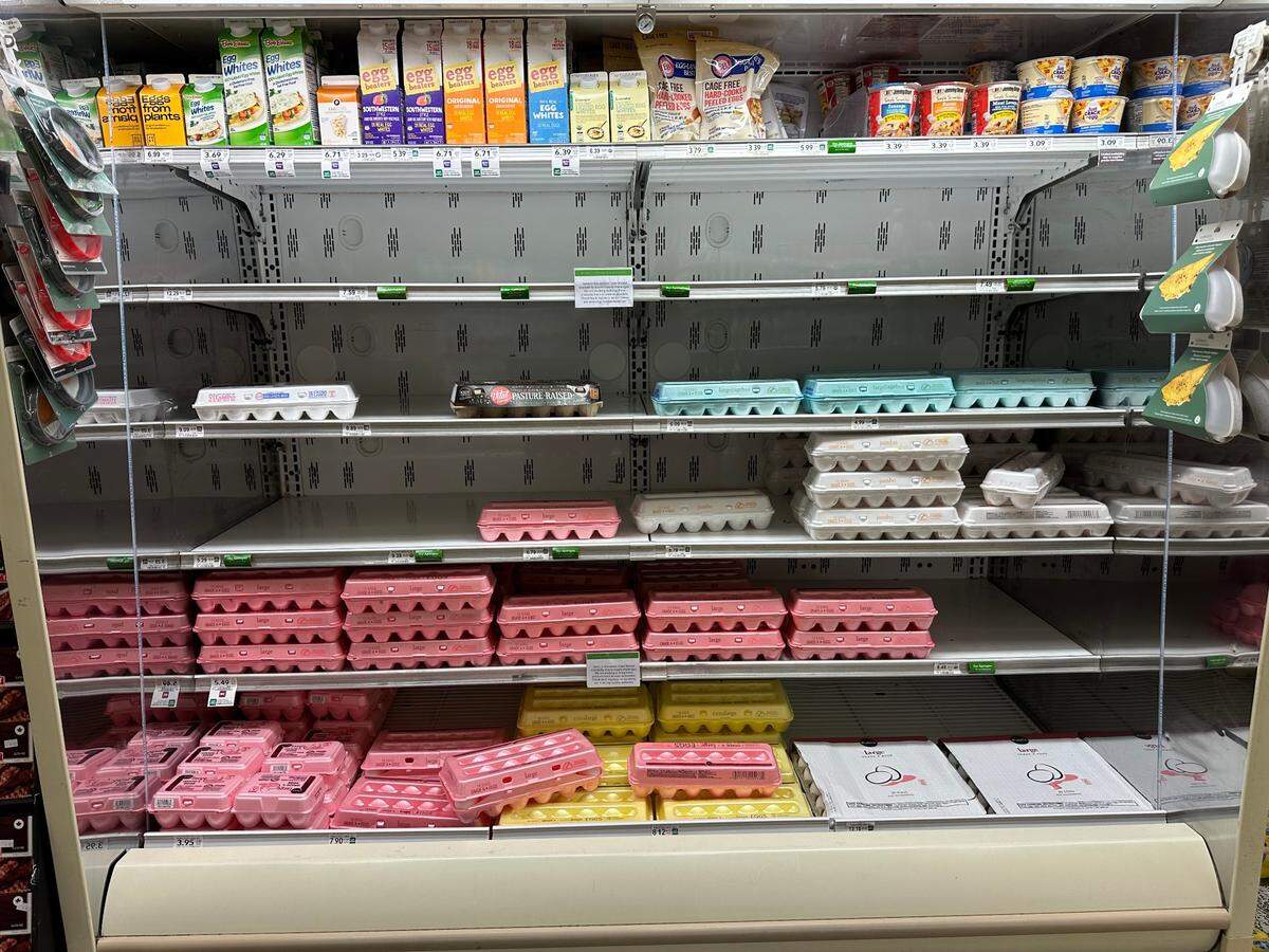 Publix egg section on Feb. 4, 2025, showed evidence of the shortage. This is the Palms Town and Country location in Kendall.